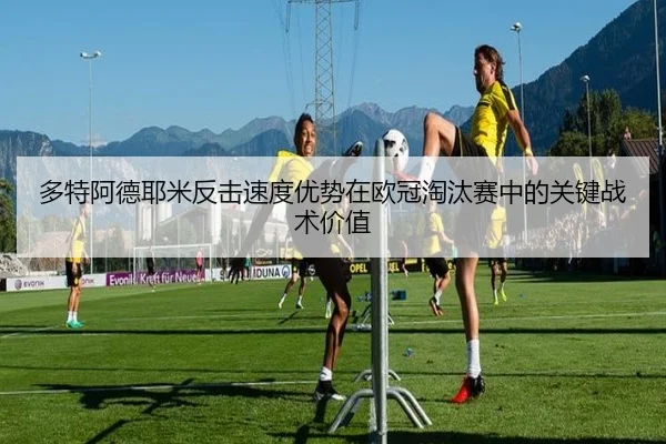 duo-te-a-de-ye-mi-fan-ji-su-du-you-shi-zai-ou-guan-tao-tai-sai-zhong-de-guan-jian-zhan-shu-jia-zhi-2-316.jpg